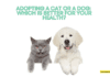 Adopting a Cat or a Dog: Which is Better for Your Health?